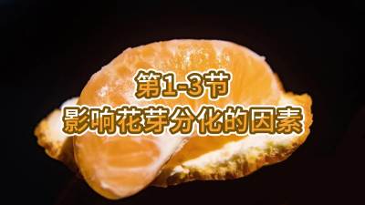 第1-3节-影响花芽分化的因素