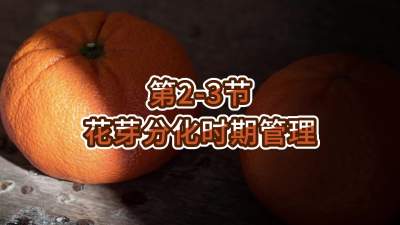 第2-3节-花芽分化时期管理