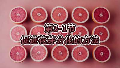 第3-1节-促进花芽分化的方法