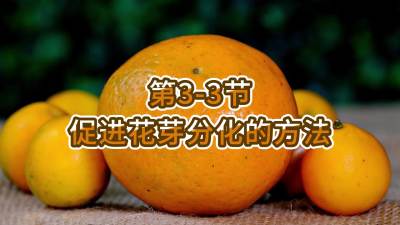 第3-3节-促进花芽分化的方法