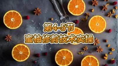 第4-5节-蜜柚修剪技术实操