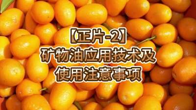 正片-2-矿物油应用技术及使用注意事项