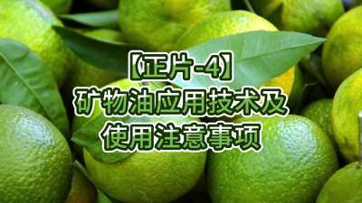 正片-4-矿物油应用技术及使用注意事项