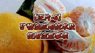 正片-6-矿物油应用技术及使用注意事项