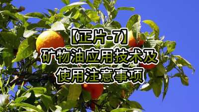 正片-7-矿物油应用技术及使用注意事项