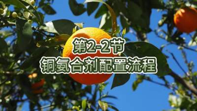 第2-2节-铜氨合剂配置流程