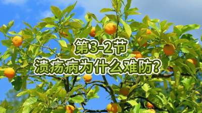 第3-2节-溃疡病为什么难防？