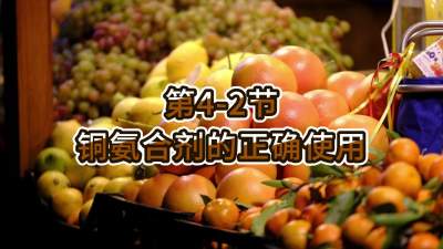第4-2节-铜氨合剂的正确使用