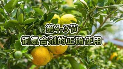 第4-3节-铜氨合剂的正确使用