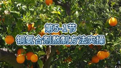 第5-1节-铜氨合剂熬制方法实操