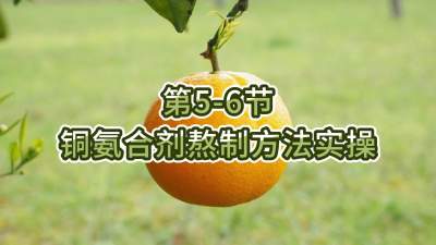第5-6节-铜氨合剂熬制方法实操