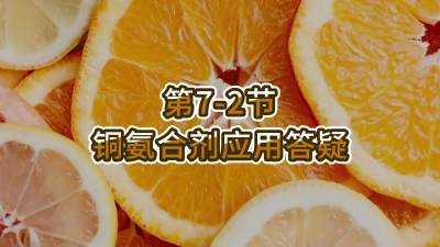 第7-2节-铜氨合剂应用答疑