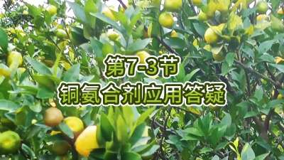 第7-3节-铜氨合剂应用答疑