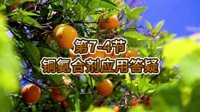 第7-4节-铜氨合剂应用答疑