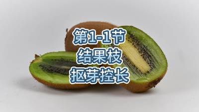 第1-1节-结果枝-抠芽控长