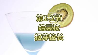 第1-2节-结果枝-抠芽控长