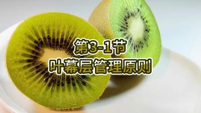 第3-1节-叶幕层管理原则