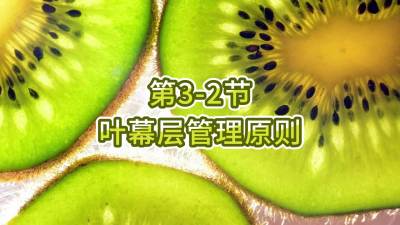第3-2节-叶幕层管理原则