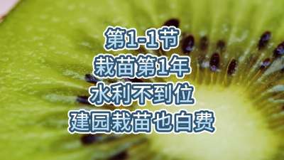 第1-1节-栽苗第1年-水利不到位，建园栽苗也白费