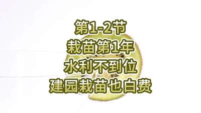 第1-2节-栽苗第1年-水利不到位，建园栽苗也白费