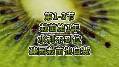 第1-3节-栽苗第1年-水利不到位，建园栽苗也白费