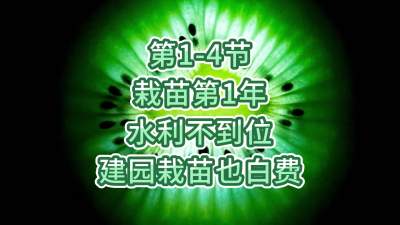 第1-4节-栽苗第1年-水利不到位，建园栽苗也白费