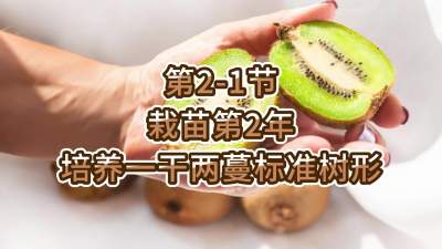 第2-1节-栽苗第2年-培养一干两蔓标准树形