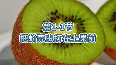第1-1节-把蚧壳虫打在上果前