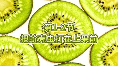 第1-2节-把蚧壳虫打在上果前
