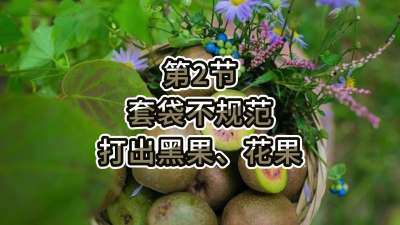 第2节-套袋不规范，打出黑果、花果