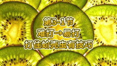 第3-1节-难打&rarr;易打，打住蚧壳虫有技巧