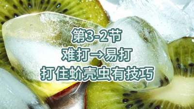 第3-2节-难打&rarr;易打，打住蚧壳虫有技巧
