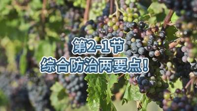 第2-1节-综合防治两要点！