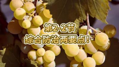 第2-2节-综合防治两要点！