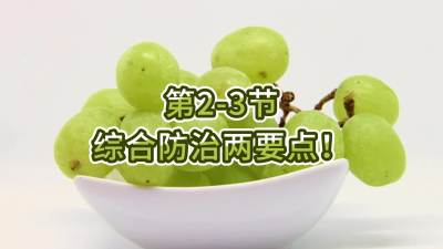 第2-3节-综合防治两要点！