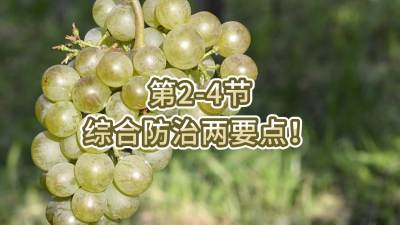第2-4节-综合防治两要点！
