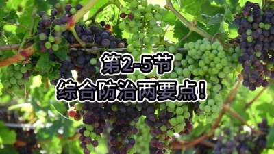 第2-5节-综合防治两要点！