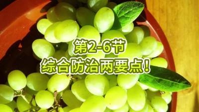 第2-6节-综合防治两要点！
