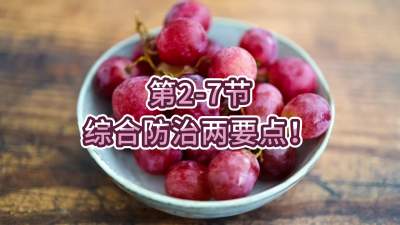 第2-7节-综合防治两要点！