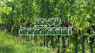 第2-8节-综合防治两要点！