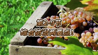 第2-9节-综合防治两要点！
