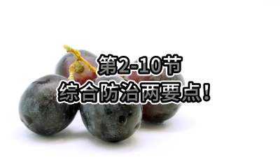 第2-10节-综合防治两要点！