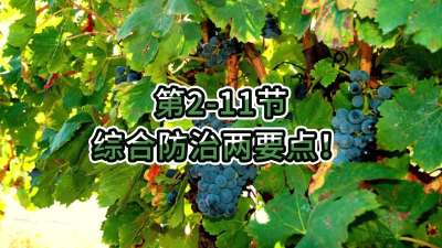 第2-11节-综合防治两要点！