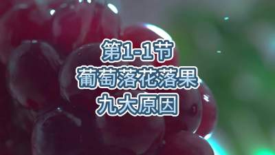 第1-1节-葡萄落花落果的九大原因