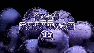 第2-1节-防落花落果八大招（上）