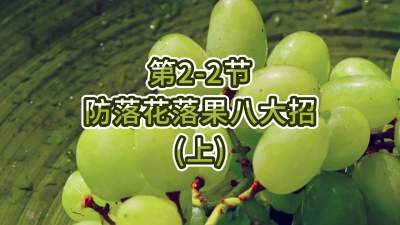 第2-2节-防落花落果八大招（上）