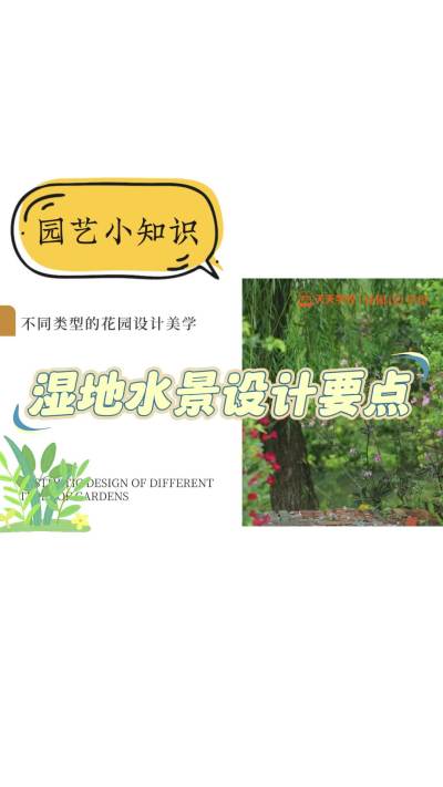 花园设计要点&mdash;&mdash;湿地水景设计要点