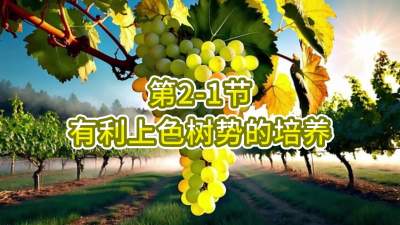 第2-1节-有利上色树势的培养