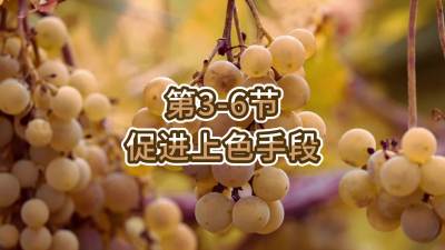 第3-6节-促进上色手段