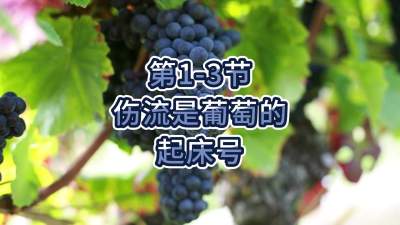 第1-3节-伤流是葡萄的起床号